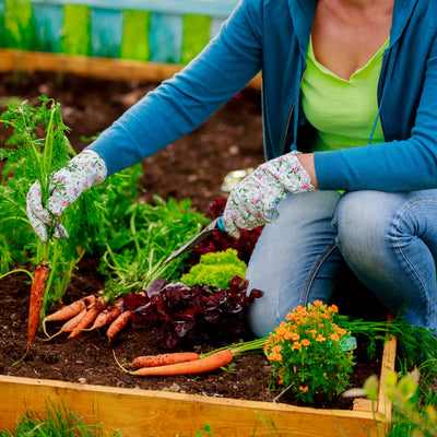 The Health Benefits of Gardening