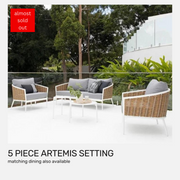 Artemis 5 piece Lounge Setting