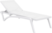 Pacific Sunlounger