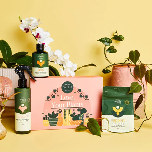 Essential Plant Care Kit