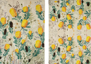 Golden Banksia Range
