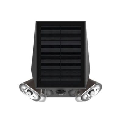 Dual Head Solar Light