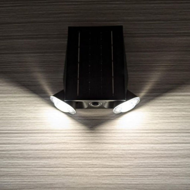 Dual Head Solar Light