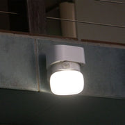 Swivel Light