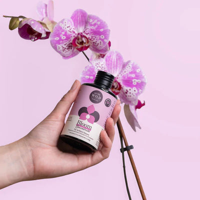 Bloom Flowering Plant Food