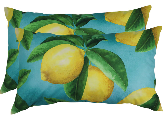 Sour Patch Outdoor Cushion