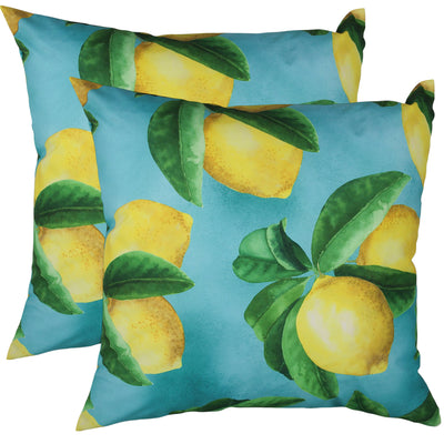 Sour Patch Outdoor Cushion