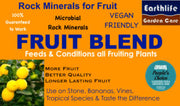 FRUIT BLEND 12KGS