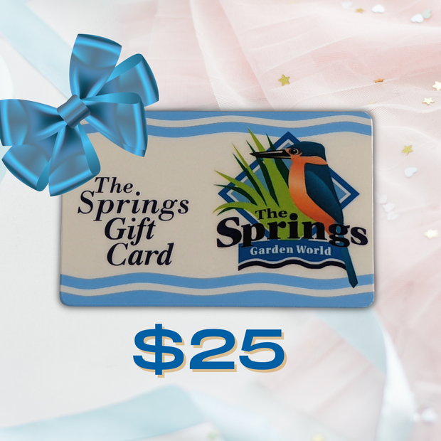 Gift Card $25