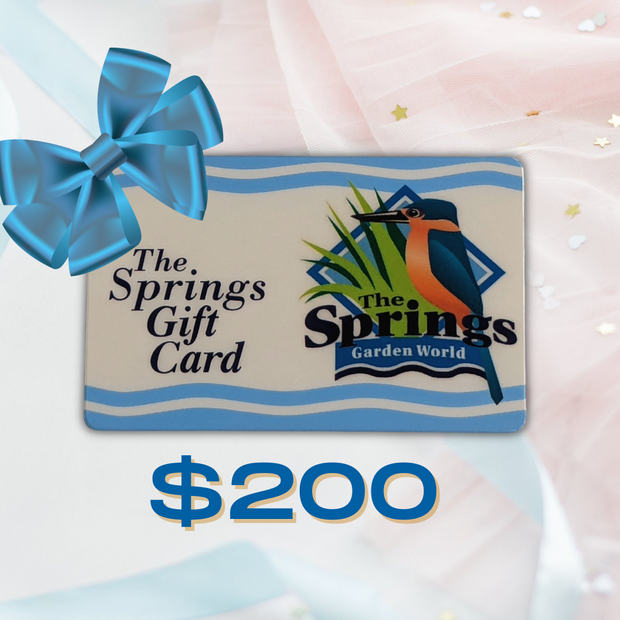 Gift Card $200