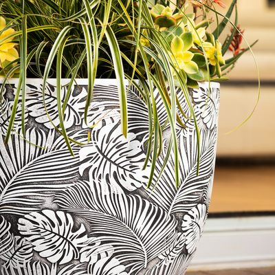 Monstera Egg Pot